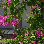 Surfing Village Paros 3*