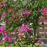 Surfing Village Paros 3* Santa Maria (Paros)