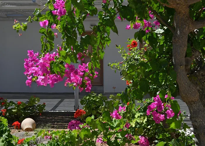 Surfing Village Paros 3*