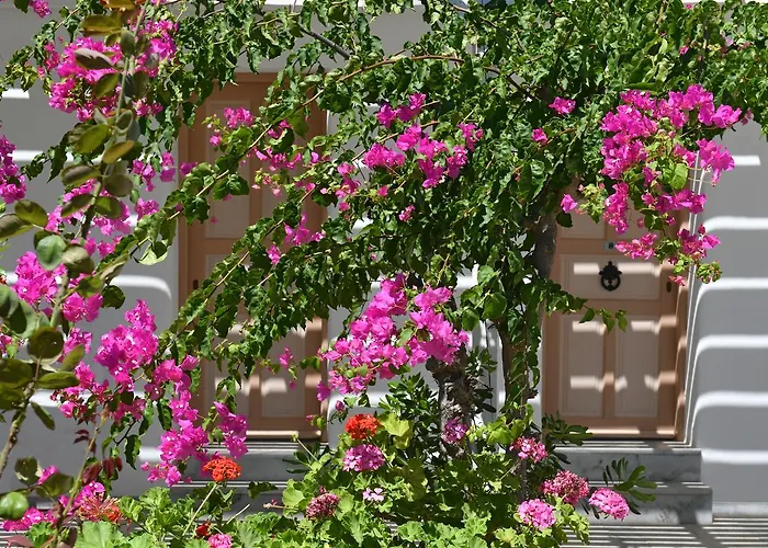 Surfing Village Paros 3* Πάρος