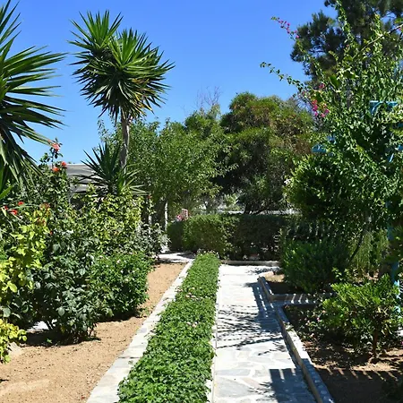 酒店 帕罗村冲浪海滩 3*