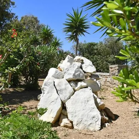 Surfing Village Paros