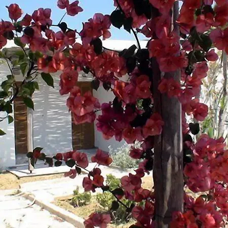 Surfing Village Paros Ξενοδοχείο Σάντα Μαρία