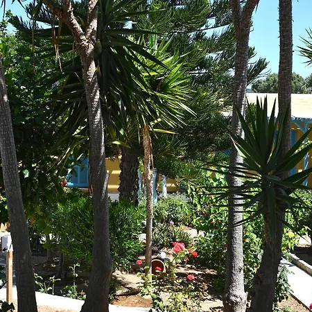 Surfing Village Paros 3* Santa Maria (Paros)