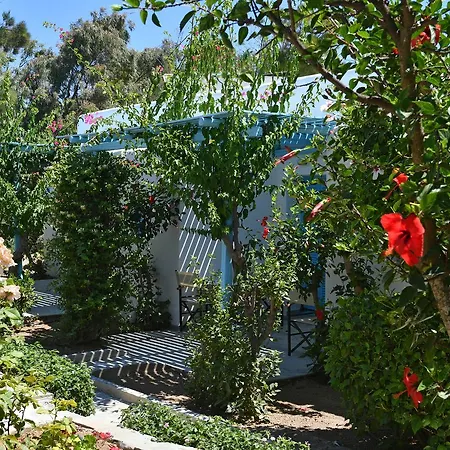 帕罗村冲浪海滩 Páros