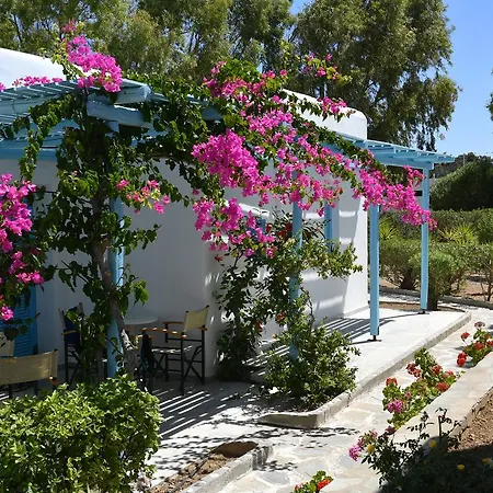Surfing Village Paros 3* Santa Maria (Paros)