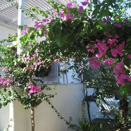 Surfing Village Paros 3*