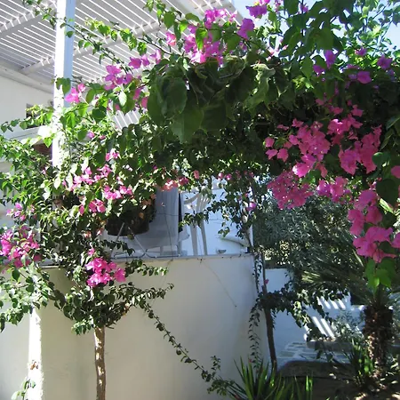 サーフィン ビーチ ビレッジ パロス 3*