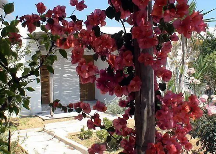 帕罗村冲浪海滩 酒店 圣玛丽亚