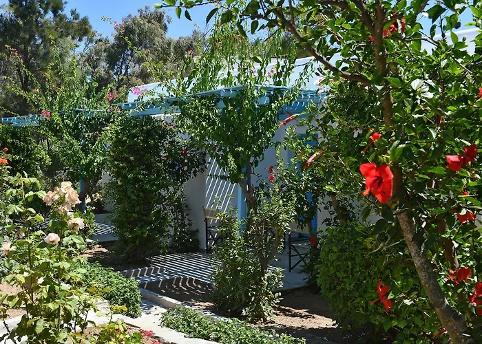 Surfing Village Paros سانتا ماريا