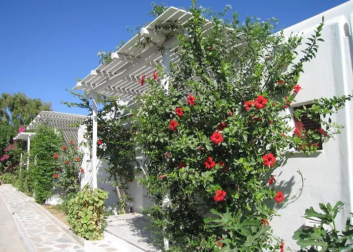 酒店 帕罗村冲浪海滩 圣玛丽亚